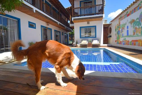 a brown and white dog standing next to a swimming pool at Quadradinho de Trancoso in Trancoso