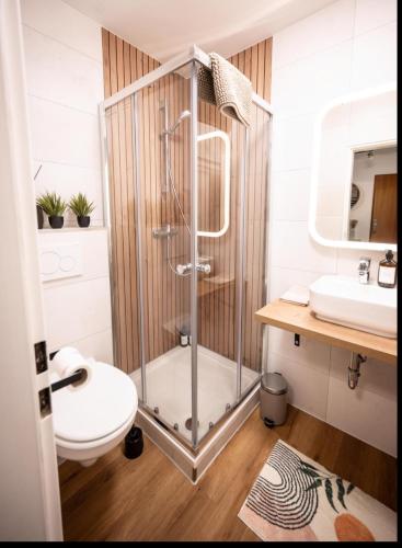 a bathroom with a shower with a toilet and a sink at Black Forrest Base Vauban in Freiburg im Breisgau