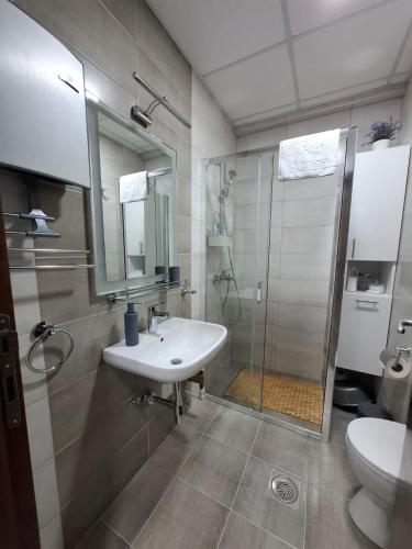 a bathroom with a sink and a shower and a toilet at Apartman Dora in Jagodina