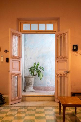 Fotografie z fotogalerie ubytování Casa Mare v destinaci Mérida