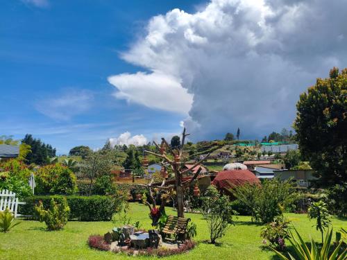 a view of a park with a tree in the grass at Glamping Cabañas Sharmont in Guarne