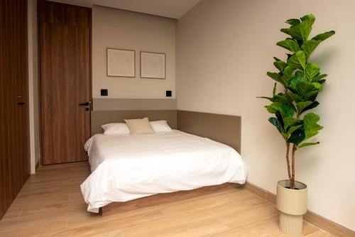 a bedroom with a white bed and a potted plant at Comfortable Apartment Near Expo Guadalajara Parking & WiFi in Guadalajara