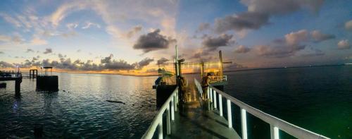 Příroda nedaleko hotelu