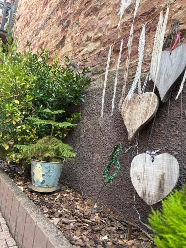 a garden with plants and umbrellas hanging on a wall at Relais du Dompeter in Molsheim