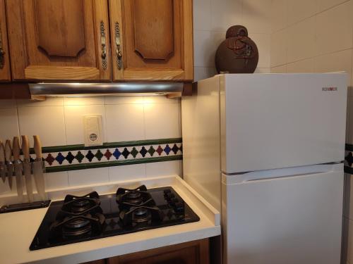 Dapur atau dapur kecil di Casa Alpujarreña Fina Número 27