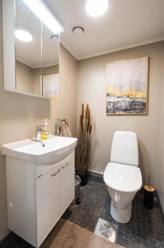 a bathroom with a white sink and a toilet at Ranua Haistila Retreat with Elegant Views & Sauna near Rovaniemi in Ranua