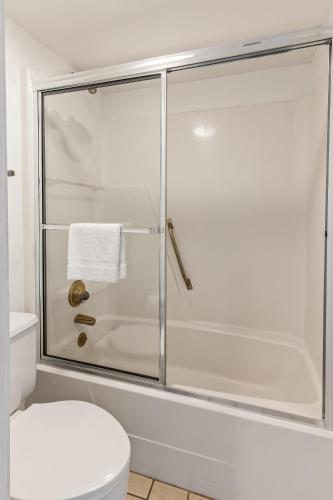 a bathroom with a shower with a white toilet at 1806 Heron Point in Summerville