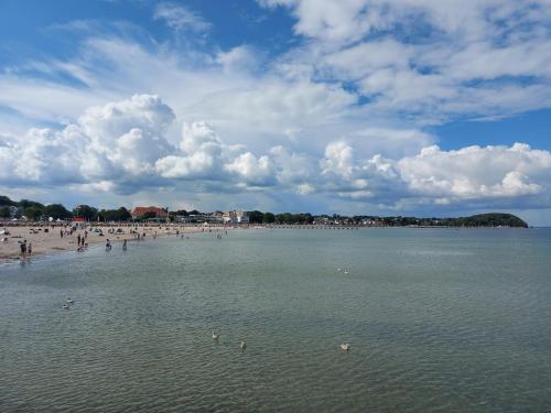 a group of people on a beach with birds in the water at Travemünde Ruheoase mit Pool Sauna Parkplatz in Rönnau
