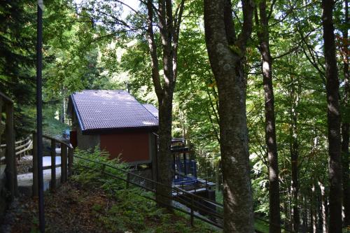 a cabin with a solar roof in the woods at Villa Panoramica Indipendente in Sestola