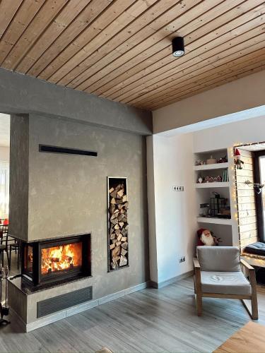 a living room with a fireplace and a chair at Cabana 1407 Valea Avrigului in Avrig