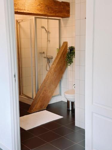 a bathroom with a shower and a toilet at Verblijf bij Bynt in Sneek