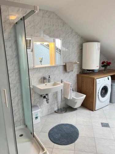 a bathroom with a sink and a washing machine at Apartments Bukor with seasonal pool in Lukovica pri Domžalah
