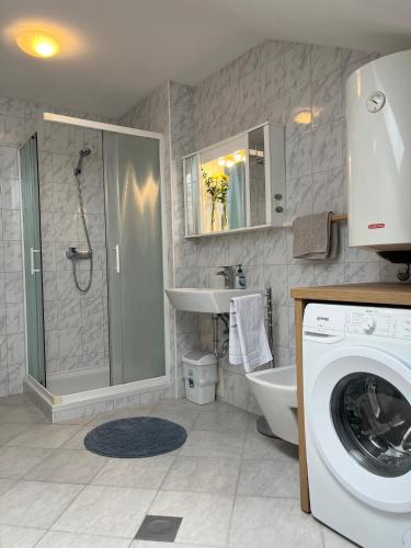 a bathroom with a washing machine and a sink at Apartments Bukor with seasonal pool in Lukovica pri Domžalah