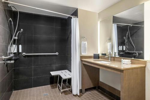 une salle de bain avec lavabo et douche dans l'établissement TownePlace Suites by Marriott Charlotte LoSo, à Charlotte