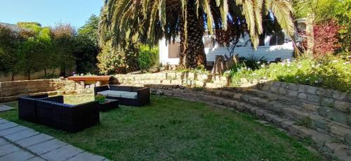a garden with couches and a retaining wall and a palm tree at Casa del Arquitecto in San Antonio