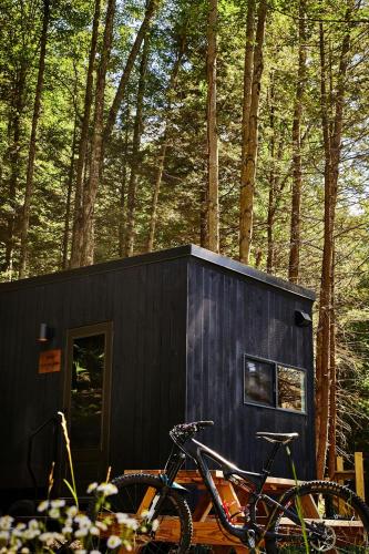 Gambar di galeri bagi Postcard Cabins Eastern Catskills, Outdoor Collection by Marriott Bonvoy di Catskill