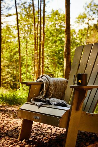 a blanket sitting on a bench in the woods at Postcard Cabins Kettle River, Outdoor Collection by Marriott Bonvoy in Willow River