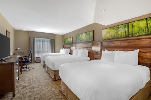 Ένα ή περισσότερα κρεβάτια σε δωμάτιο στο Best Western Plus Valemount Inn & Suites