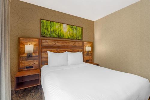 Ένα ή περισσότερα κρεβάτια σε δωμάτιο στο Best Western Plus Valemount Inn & Suites