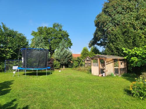 a garden with a blue trampoline in the grass at Ferienwohnung in den Hüttenroder Bergen in Hüttenrode