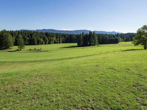 a large green field with trees in the background at Alpiner Aufenthalt mit Balkon in Steingaden in Steingaden