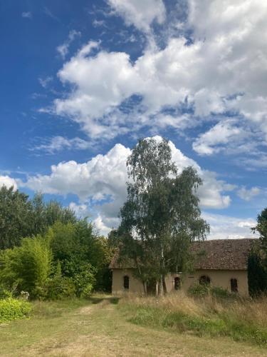 ein altes Haus auf einem Feld mit einem Baum in der Unterkunft La Résidence Sycomore 