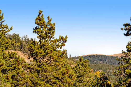 Naturlandskabet i nærheden af lejligheden
