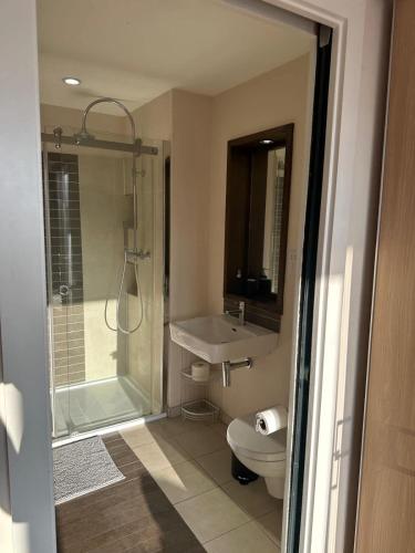 a bathroom with a toilet and a sink and a shower at Custom House Square Penthouse in Belfast