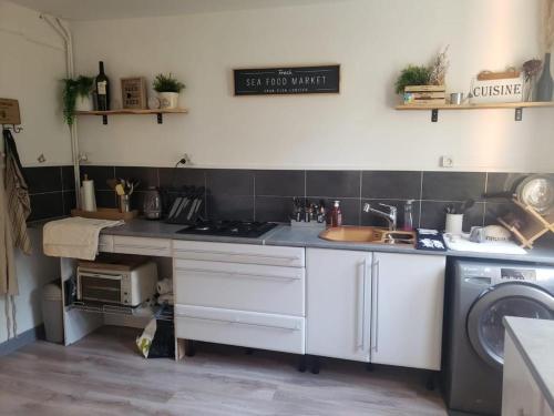 una cocina con fregadero y lavadora en Lake view apartment, en Maxilly-sur-Léman