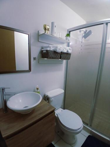 a bathroom with a toilet and a sink and a shower at Departamento Ganges in León