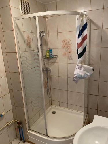 a shower with a glass door in a bathroom at City Huningue in Huningue
