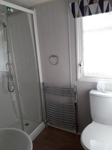 a bathroom with a shower and a toilet at Lovely 3 bedroom caravan haven wild duck hoilday Park in Belton