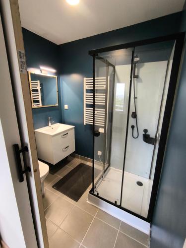 a bathroom with a shower and a toilet and a sink at Notre Dame d'Orgemont - Bleu Nuit 4 in Argenteuil