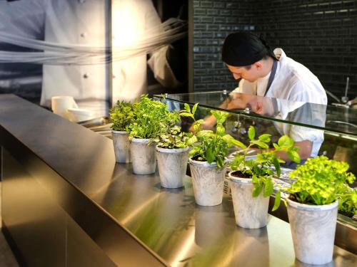 a chef preparing food in a kitchen with potted plants at ibis Aix en Provence in Aix-en-Provence