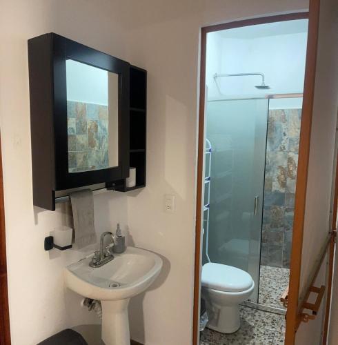 a bathroom with a sink and a toilet and a mirror at Apartment Laureles in Santa Lucía