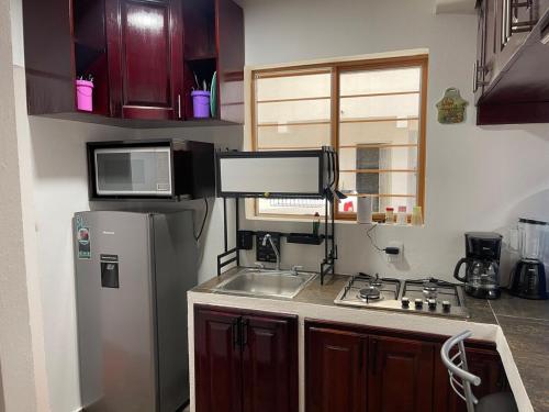 a kitchen with a refrigerator and a sink at Apartment Laureles in Santa Lucía