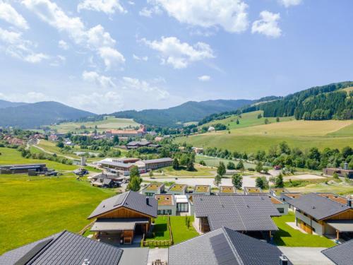 an aerial view of a small village in the mountains at Grebenzen Lodge Edelweiss in Sankt Lambrecht