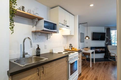 Studio Woodland by Gestion ELITE في مونت تريمبلانت: مطبخ مع حوض وموقد