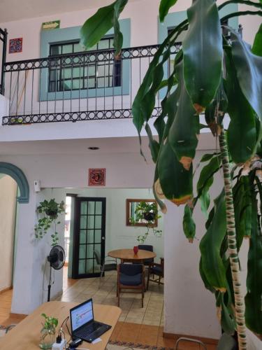 an office with a plant and a laptop on a desk at Suites Chingón in Guadalajara