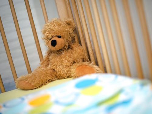 a brown teddy bear sitting in a crib at Holiday home in Nes with swimming pool in Nes