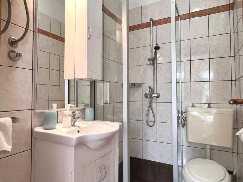 Apartment Butkovi - Studio Apartment A1