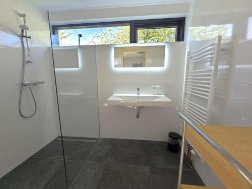 Un baño blanco con lavabo y espejo. en Holiday home in Oostkapelle with Wi-Fi, en Oostkapelle
