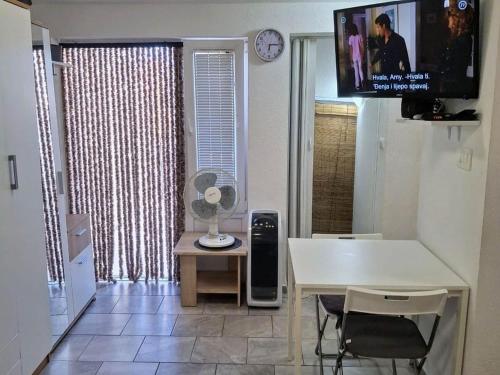 Apartments Boris Donji Karin - One Bedroom Apartment Classic Apartment