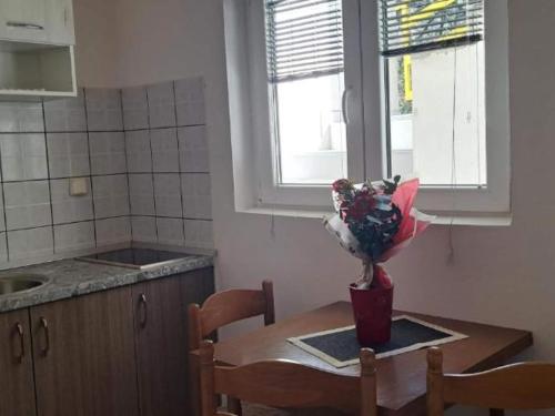Studio apartment with balcony in Podaca