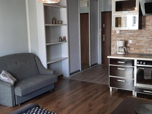 a living room with a couch and a kitchen at One-bedroom apartment in Czajczyn
