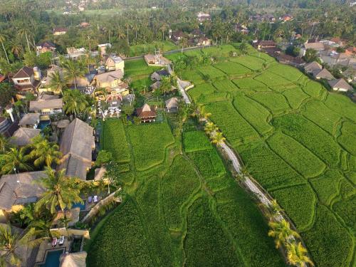 Wapa di Ume Ubud — Bird's eye view