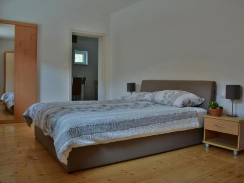 een slaapkamer met een groot bed en een spiegel bij Standard One Bedroom Apartment in Čatež ob Savi