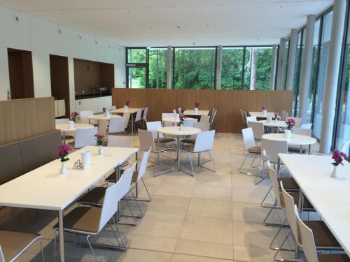 a dining room with tables and chairs and windows at Evangelische Tagungsstätte Hofgeismar in Hofgeismar