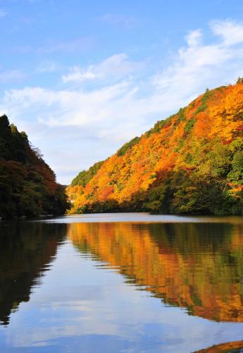 a lake in the middle of a mountain with autumn foliage at SHELTER,君津 星が降りそそぐVilla in Kimitsu