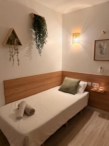 - une chambre avec un lit et une plante sur le mur dans l'établissement Chambre simple avec terrasse privée - Proche tram et centre - Cuisine et Salle de bain en partage, à Montpellier